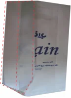 ساک دستی پلاستیکی بغل کاست