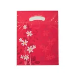 بگ دسته موزی