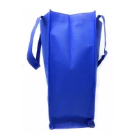 بگ کاست دار