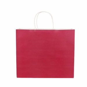 خرید ساک دستی کاغذ کارتی