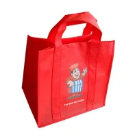 ساک دستی برزنتی کاست دار