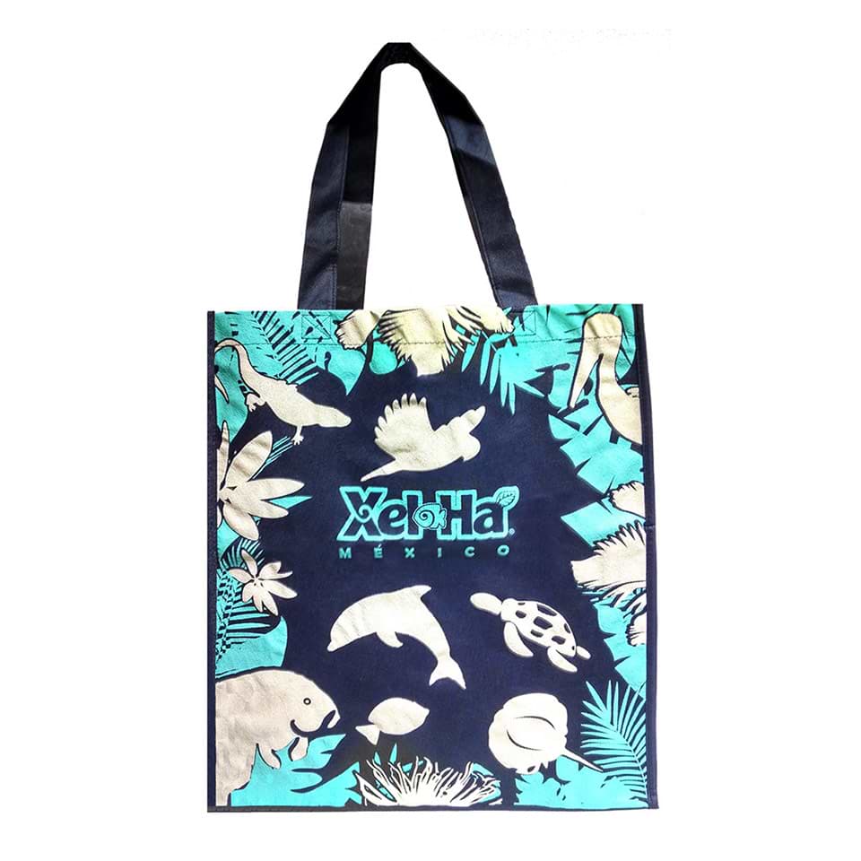 شاپینگ بگ پارچه ای